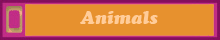 Animals - collection